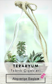 Teraryum